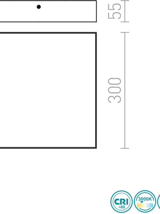 Rendl Light Studio Larisa SQ 30 Ceiling Квадрат На открито LED Панел 30W с Топло бяло Светлина 3000К