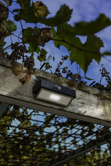 Lutec Wall Mounted Solar Light 2.3W 180lm Cold White 5000K with Motion Sensor IP44 10.9cmx109cmx17.6cmcm
