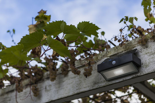 Lutec Wall Mounted Solar Light 2.3W 180lm Cold White 5000K with Motion Sensor IP44 10.9cmx109cmx17.6cmcm