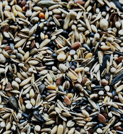 Royal Vogelfutter Νo1 Goldfinch Special Birds Food for Wild Birds 15kg