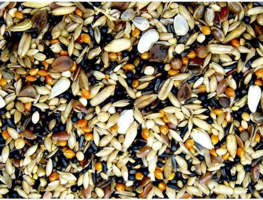 Royal Vogelfutter Royal Vogelfutter No4 Forest Mix Hrană pentru Păsări sălbatice 20kg 39008