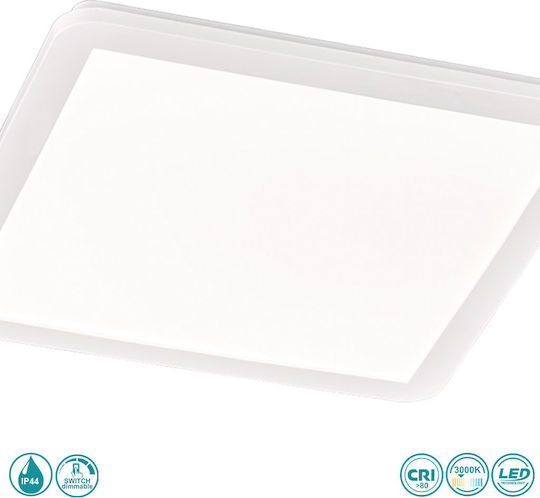 Trio Lighting Camillus Trio Lighting Camillus