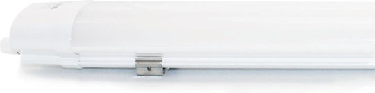 Aca Lighting Batten Outdoor with Integrated LED 60W 130cm