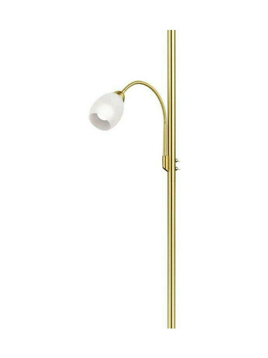 Trio Lighting Gerry Floor Lamp H180xW34cm. with Socket for Bulb E27 Gold