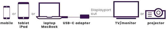Marmitek Μετατροπέας USB-C male σε DisplayPort female Ασημί 1τμχ 8371