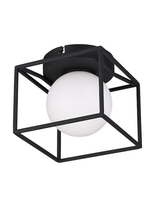 Trio Lighting Gabbia Modern Lamp Wall with Socket G9 Black 14.5x14.5x13cm