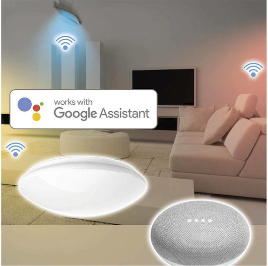 HAMA Hama Ceiling Light Glitter Effect Round Smart Mount Ceiling Light 30cm White with Integrated LED