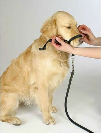 Trixie Training Dog Muzzle with Neck Strap Medium 27cm