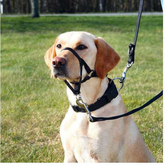 Trixie Antrenament Cu Centură Pentru Gât XLarge 46cm