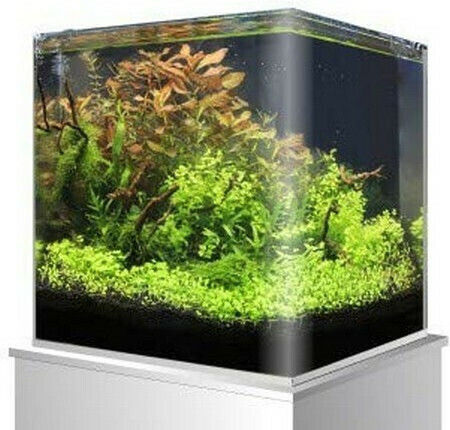 Amtra Nanotank 20 Fish Aquarium Capacity 18lt with 25x25x30cm