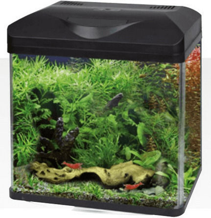 Croci Amtra Laguna 50 LED Ενυδρείο Ψαριών Χωρητικότητας 40lt με Φωτισμό, 38x26x41.5εκ. Μαύρο
