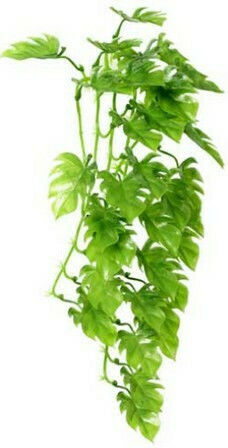 Hobby Aquaristik Climber Philo Hanging Accessory for Reptiles Terrarium