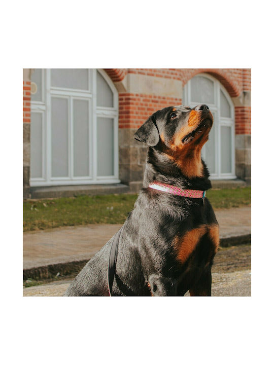 Max & Molly Retro Pink Dog Collar In Pink Colour Medium 20mm x 34 - 55cm