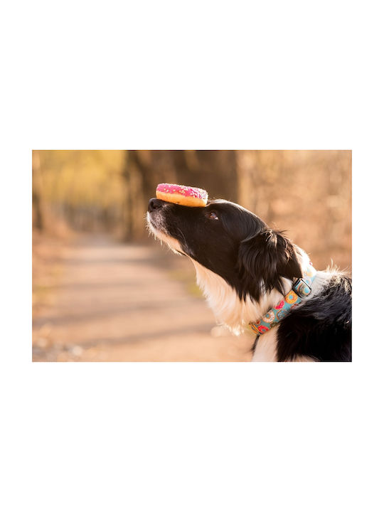 Max & Molly Donuts Ошийник за куче Small 15мм x 28 - 45см