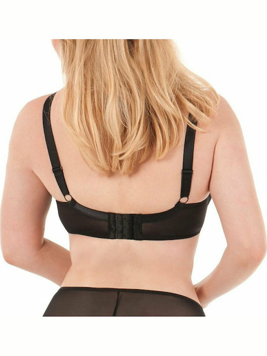 Curvy Kate Curvy Kate