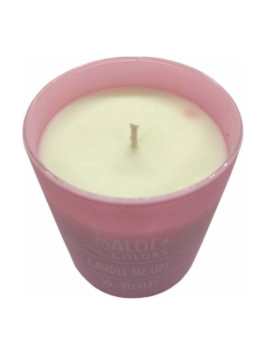 Aloe Colors Aromatic Soy Candle So Velvet Jar with Powder Perfume 220gr