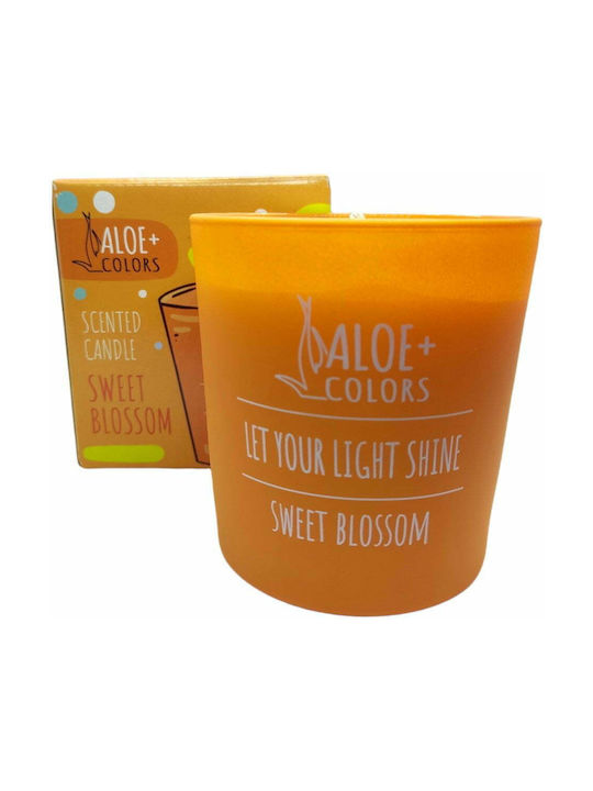 Aloe Colors Scented Soy Candle Sweet Blossom Jar with Scent Vanilla/Orange Orange 220gr 1pcs