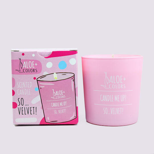 Aloe Colors Pure Serenity Αρωματικό Σόγιας σε Βάζο Aloe Colors Pure Serenity Αρωματικό Σόγιας σε Βάζο