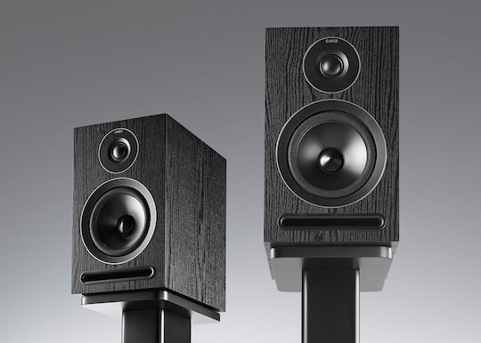 Acoustic Energy 101 Paar Hi-Fi Lautsprecher Buch selbst 150W 2 Anzahl von Fahrern B18.5xT25xH30cm. Schwarz