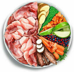 Adult Digestive 2kg Dry Food Grain-Free & Gluten-Free for Adult Dogs with Rabbit