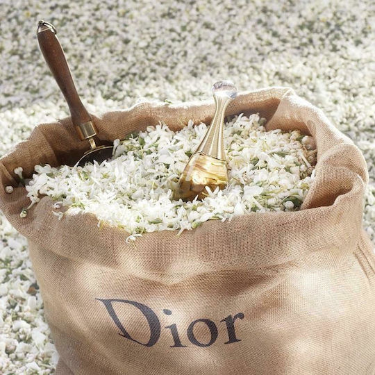 Dior J'Adore Eau de Parfum 100ml