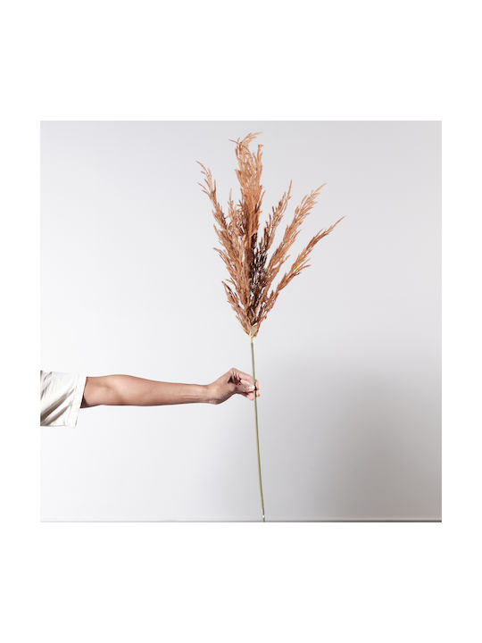 Supergreens Τεχνητό Φυτό Pampas grass Καφέ 124cm