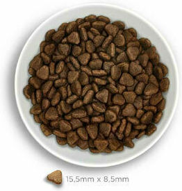 Amanova Adult Sensitive 2kg Dry Food Grain-Free for Adult Dogs with Lamb