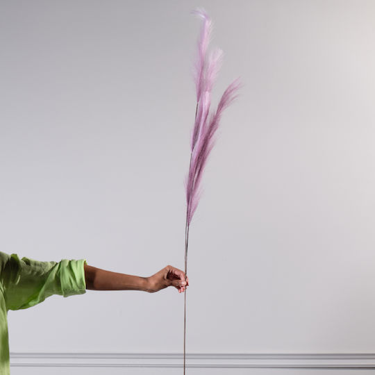 Dekoratives Feder Lila Supergreens Dekoratives Feder Lila Supergreens