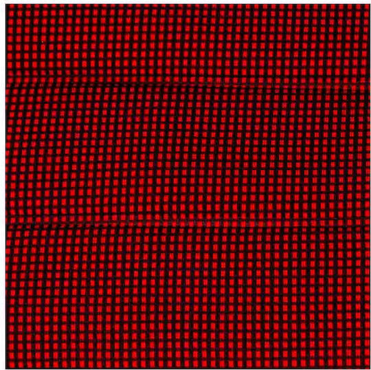 Autoline Front Car Covers 4pcs Polyester WRC Red / Black
