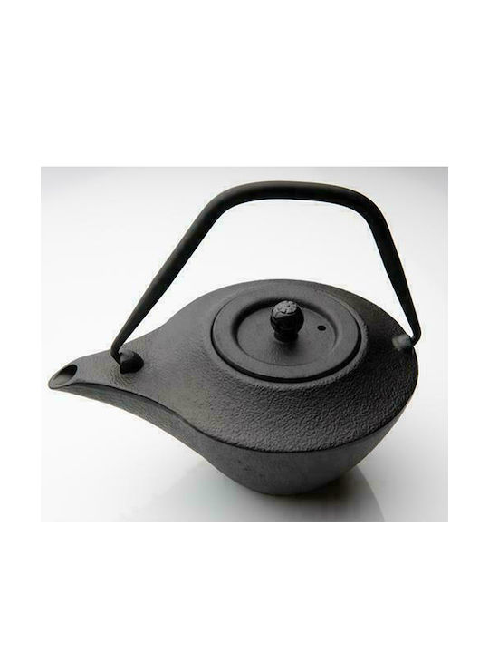 Dinox Teapot with Filter Cast Iron Black 500ml