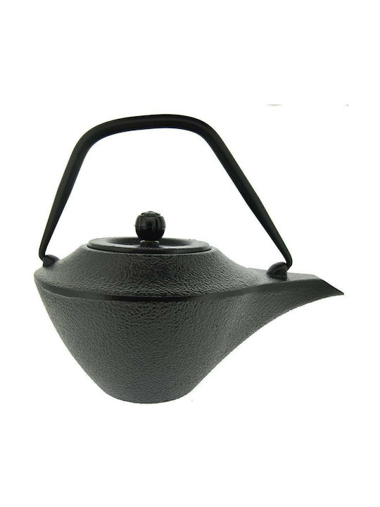 Dinox Teapot with Filter Cast Iron Black 500ml
