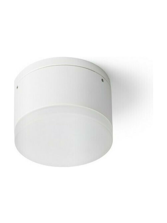 Rendl Light Studio Einzel LED Warmes Weiß Spot in Weiß Farbe