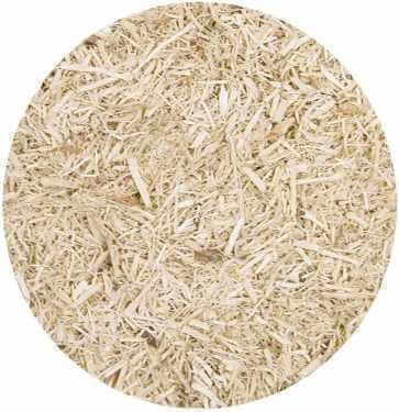 Croci Zoo Med Aspen Snake Substrate for Reptiles Terrarium