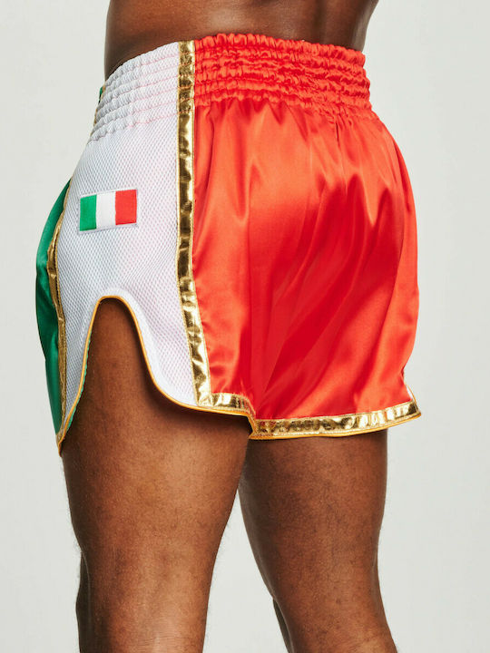 Leone AB875 Italy Men's Kick/Thai Boxing Shorts Green