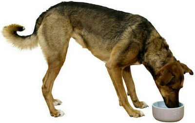 Kerbl Spirit Ceramic Bowls Dog Food & Water Gray 1750ml 80524