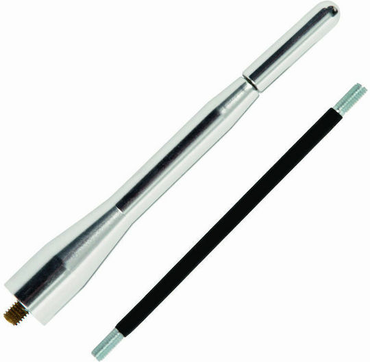 Cartech Car Antenna Roof Threaded for Radio in Silver Color
