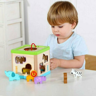 Tooky Toys Κύβος Σφηνώματα με Ζωάκια από Ξύλο για 12+ Μηνών