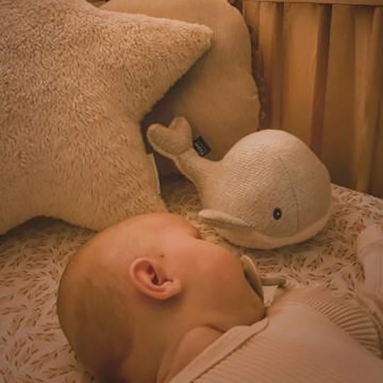 Flow Sleep Toy Moby the Whale made of Fabric with White Noise and Music for 0++ Months