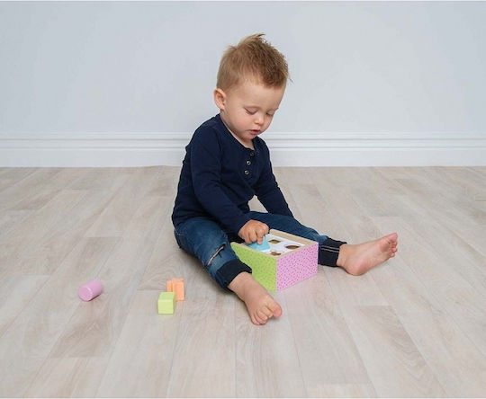 Jabadabado Shape Sorting Toy Box With Shapes Teddy made of Wood for 18++ Months