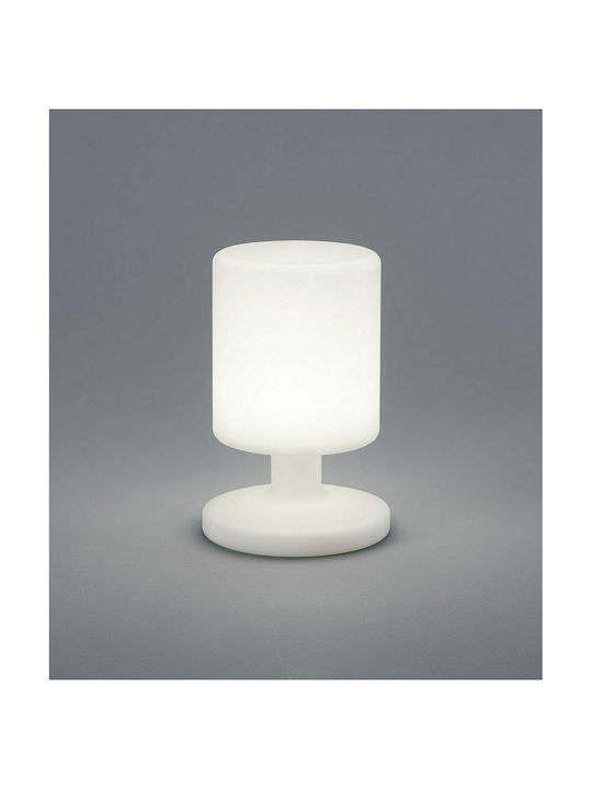Trio Lighting Barbados Desktop LED Lamp 1.5W 25x17cm