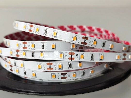 VK Lighting LED Лента 12V Лилав Светлина 5м Тип SMD3528