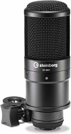 Steinberg UR22C Recording Pack CUR22CRPACK