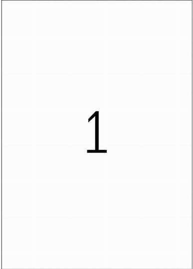 Herma 100 Self-Adhesive Rectangular A4 Labels 210x297mm