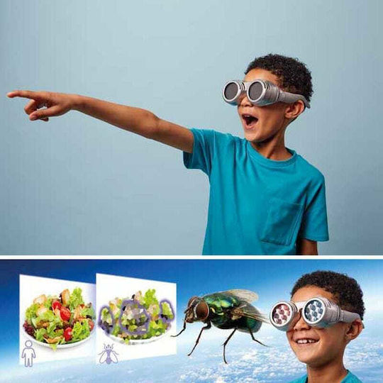 Brainstorm See the World Through Others’ Eyes STEM Lernspiel Wissen für 8+ Jahre Jahre