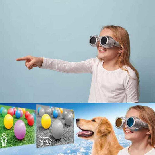 Brainstorm See the World Through Others’ Eyes STEM Lernspiel Wissen für 8+ Jahre Jahre