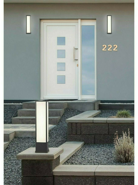 Trio Lighting Fuerte Wall-Mounted Outdoor Ceiling Light LED IP54 10.5W with Warm White Light 9x36εκ.
