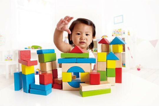Hape Τουβλάκια Maple Ξύλινα για 1+ Έτους 50τμχ