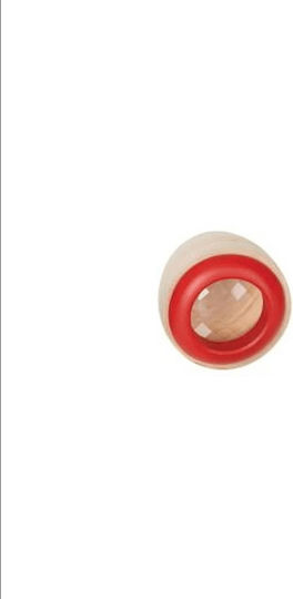 Hape Wooden Kaleidoscope Early Explorer Eye Spies for 3+ Years (Various Designs) 1pc