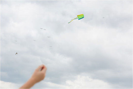 BS Toys Хвърчило Kite to Go Тъкан 32x46см 1бр