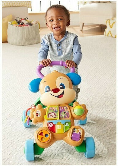 Fisher Price Dog Animal for 6+ Months Orange